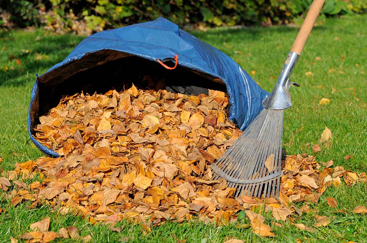 MenschWert! e.V. Abteilung Gartenhilfe