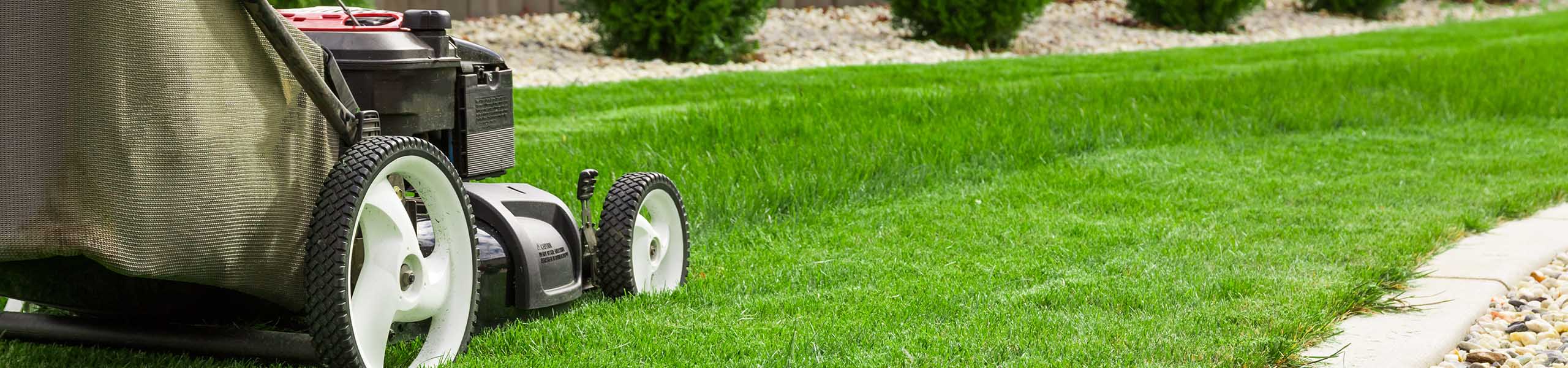 MenschWert! e.V. - Hilfe im Garten