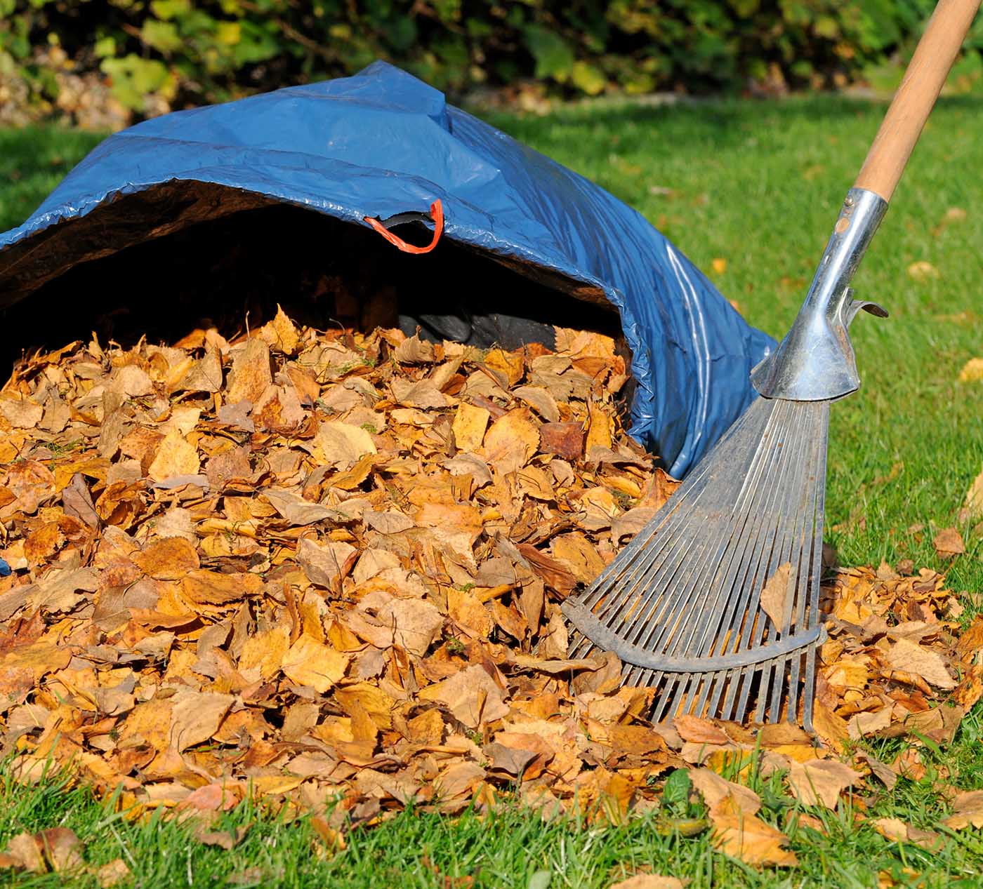 MenschWert! e.V. - Hilfe im Garten